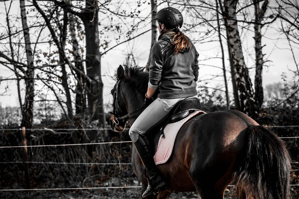Ridebaner: En essentiel investering for hesteejere